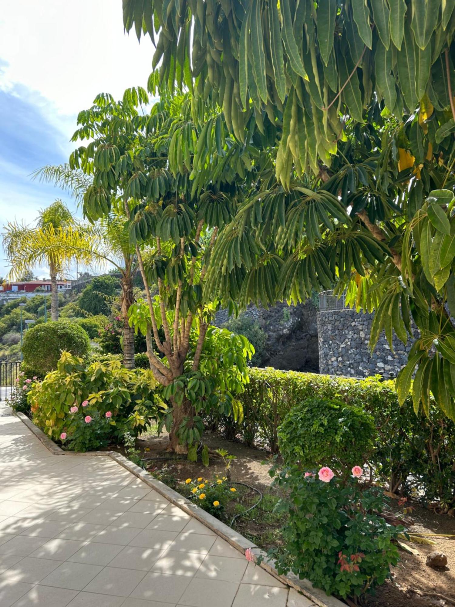 Hermosa Vista Puerto de la Cruz  Exterior foto